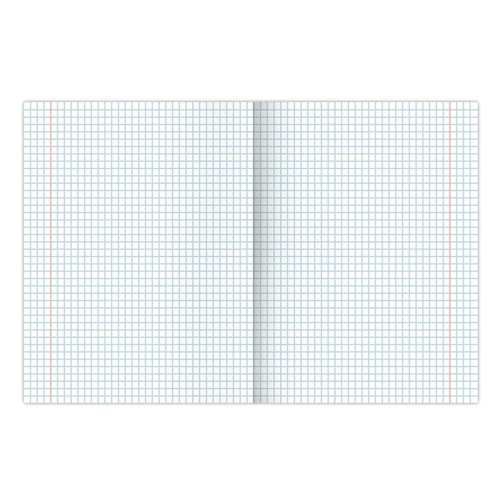 Тетрадь Brauberg 106485 клетка, однотонная, 5 дизайнов, 24 листа