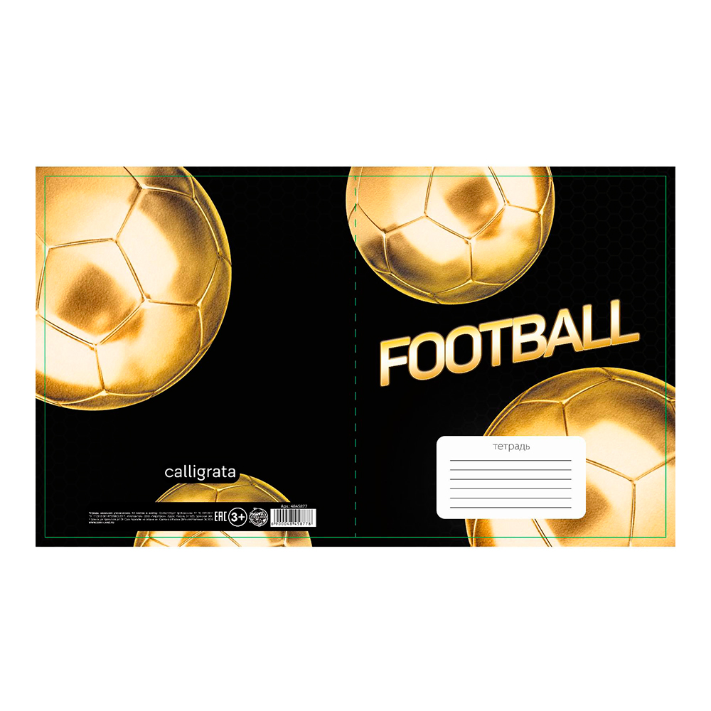 Тетрадь Calligrata 4845877 Футбол клетка, 12 листов