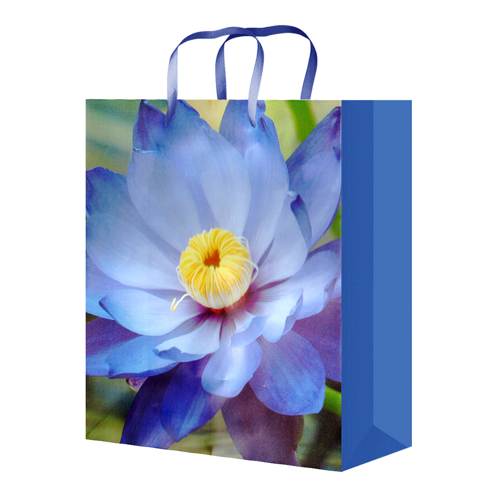 Пакет подарочный S-1156/1157/1158/1159/1160 Цветы 11,1*13,7*6,2, микс