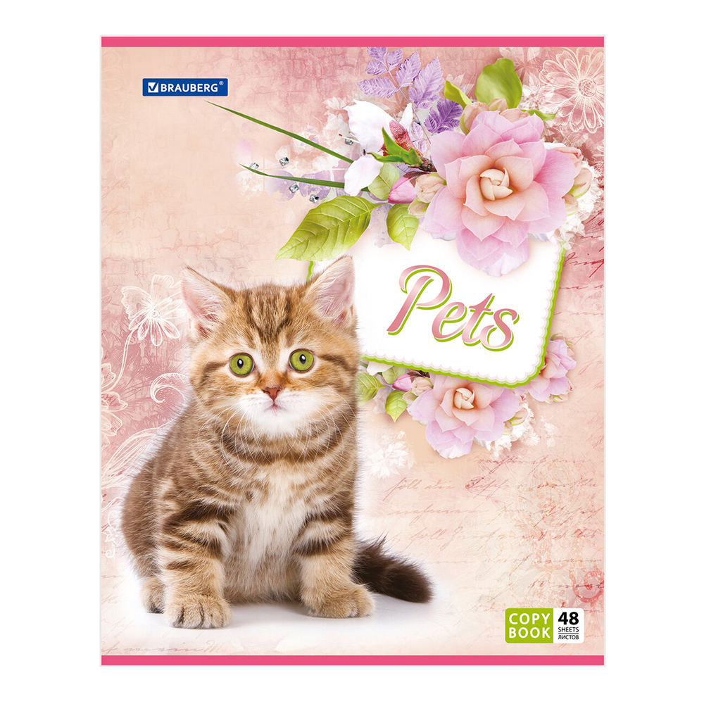 Тетрадь Brauberg 401816 в клетку, Любимчики, 48 листов
