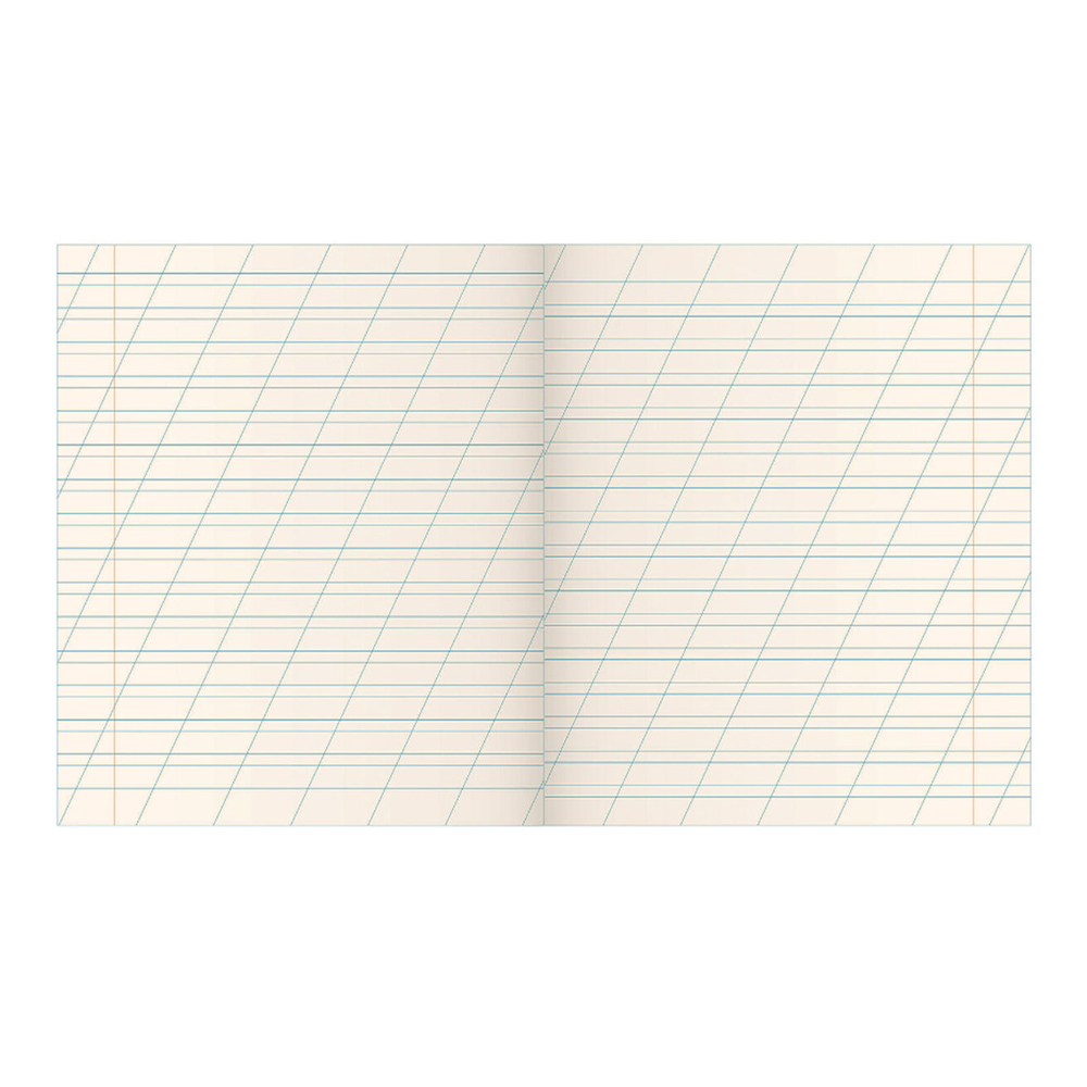 Тетрадь Пифагор 106725 12 листов, косая линия с полями, зеленая обложка, 1 шт