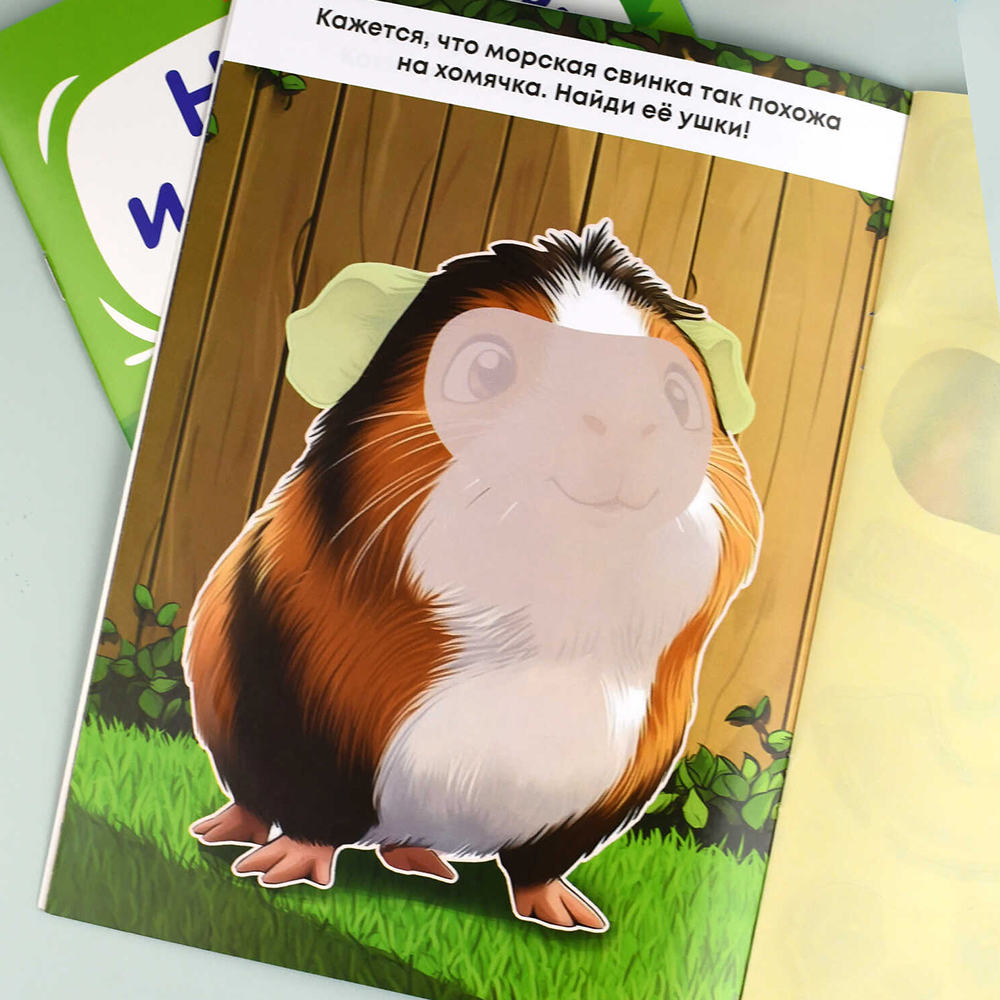 картинка Книга 72036 Домашние питомцы, с наклейками, 4 листа 