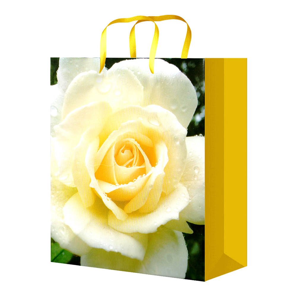 Пакет подарочный S-1156/1157/1158/1159/1160 Цветы 11,1*13,7*6,2, микс