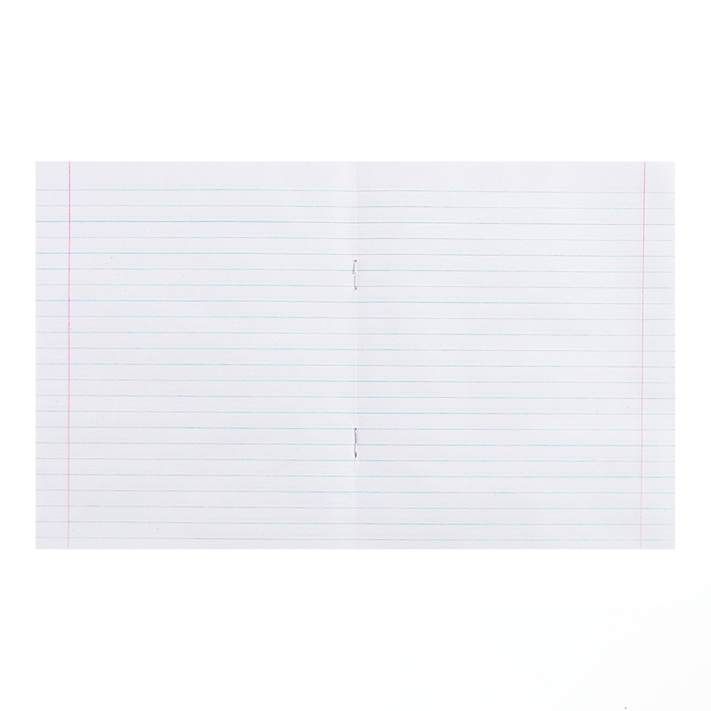 Тетрадь 679447 Зелёная обложка, в линейку, 24 листа