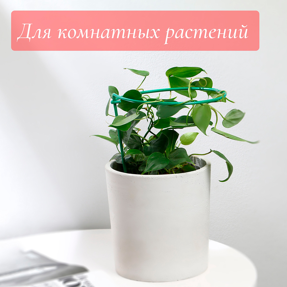 картинка Кустодержатель 5100755 Greengo высота 25 см, для клубники металл зеленый 