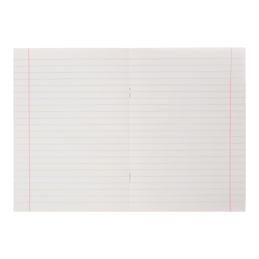 Тетрадь Calligrata 4981369 18 листов, линия, Еноты, 5 дизайнов, 18 листов