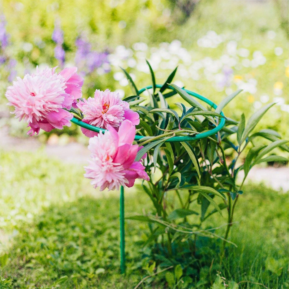 картинка Кустодержатель 2083017 Greengo высота 80 см, металл 