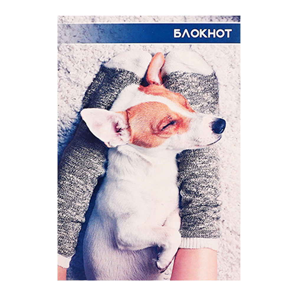 Блокнот Calligrata 3554016 А6 гребень Котята и щенята, клетка, 40 листов