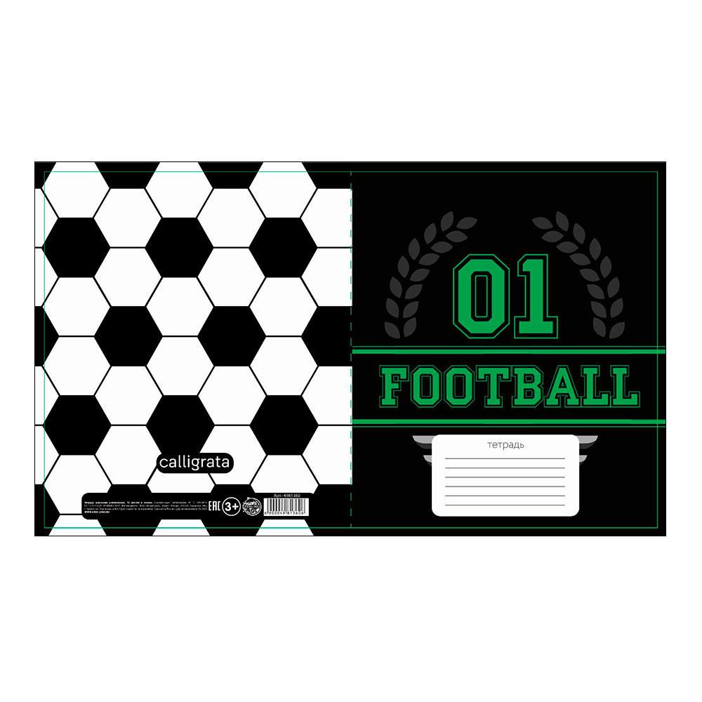 Тетрадь Calligrata 4981360 12 листов, линия, Футбол, 4 дизайна