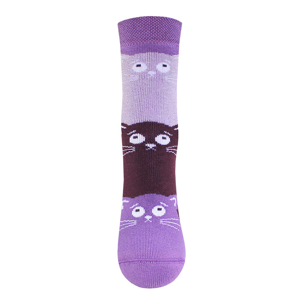 Носки детские для девочек Брестские 14С3060 256 махровые рисунок кошки, размер 17-18, цвет лиловый