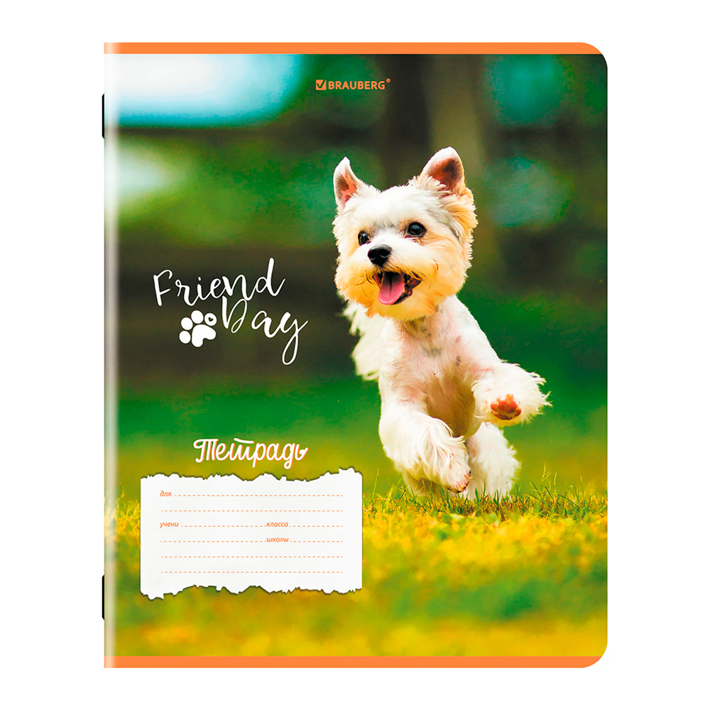 Тетрадь Brauberg 107295 18листов, клетка, Собачки, 5 дизайнов
