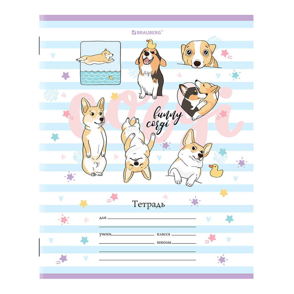 Тетрадь Brauberg 106460 12 листов, клетка, Корги, 5 дизайнов