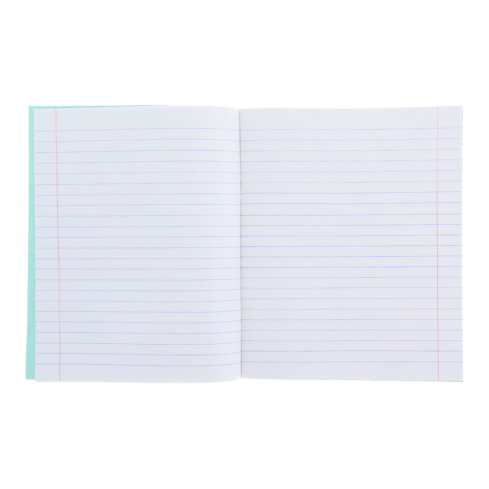 Тетрадь 689079 Тетрадь 12 листов линейка Зелёная обложка