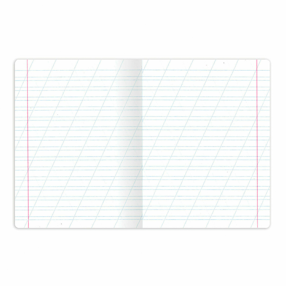 Тетрадь Brauberg 107289 Зверушки, косая линия, 5 дизайнов, 12 листов