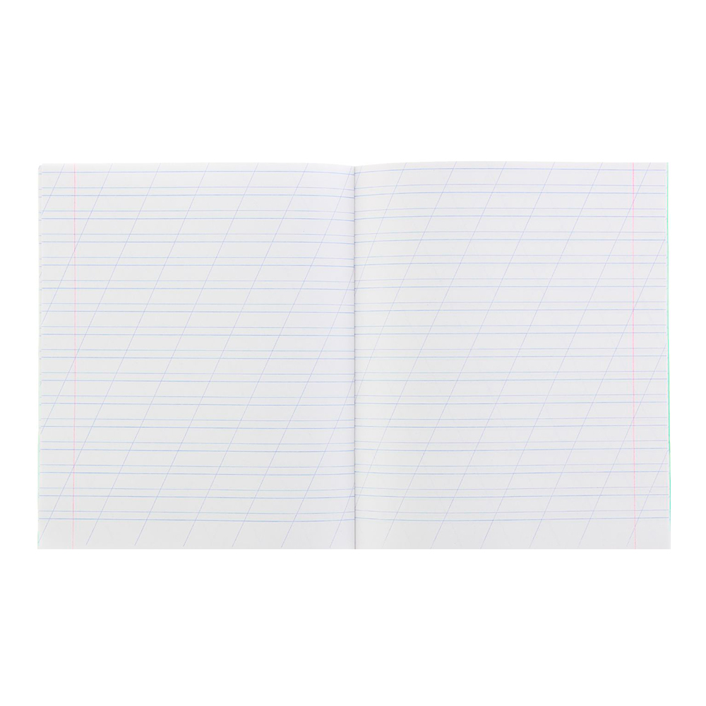 Тетрадь 1160104 12листов, косая линия, Зеленая обложка, 1 шт