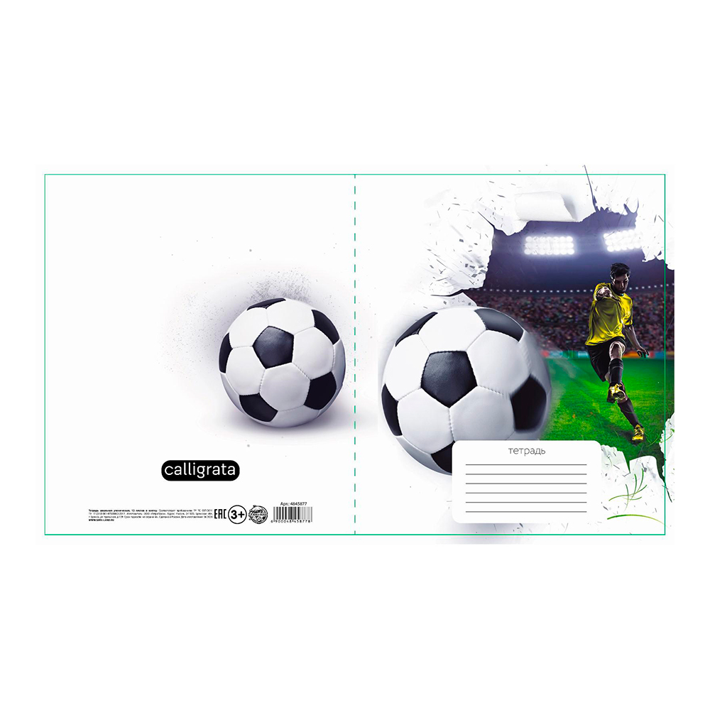 Тетрадь Calligrata 4845877 Футбол клетка, 12 листов