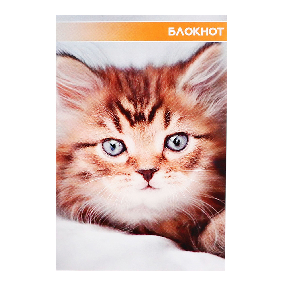 Блокнот Calligrata 3554016 А6 гребень Котята и щенята, клетка, 40 листов