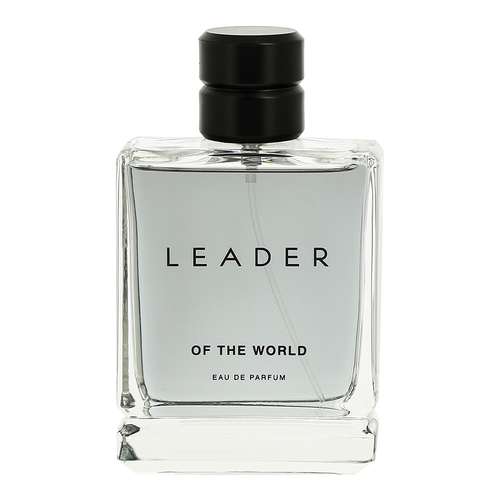 Туалетная вода LEADER OF THE WORLD фужерный аромат, мужская, 100 мл