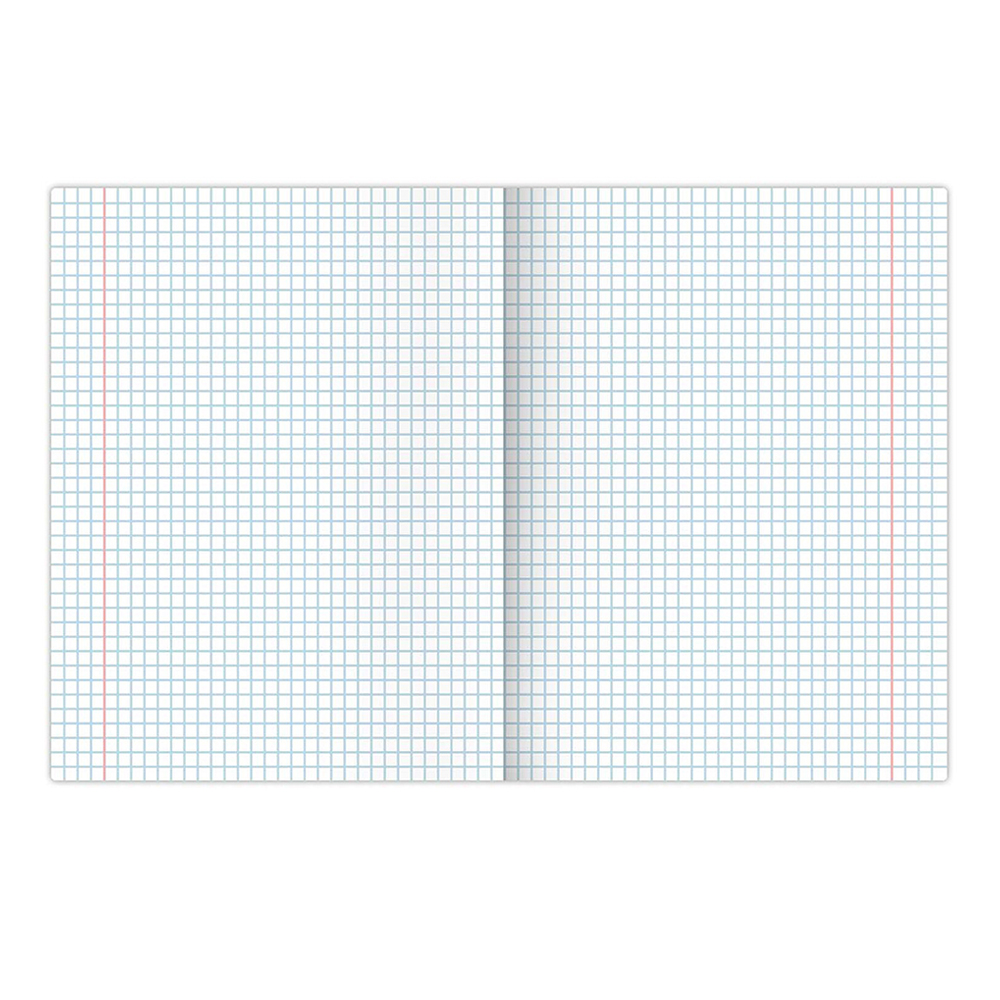 Тетрадь Brauberg 404434 клетка, обложка картон, Аниме, 5 дизайнов, 96 листов