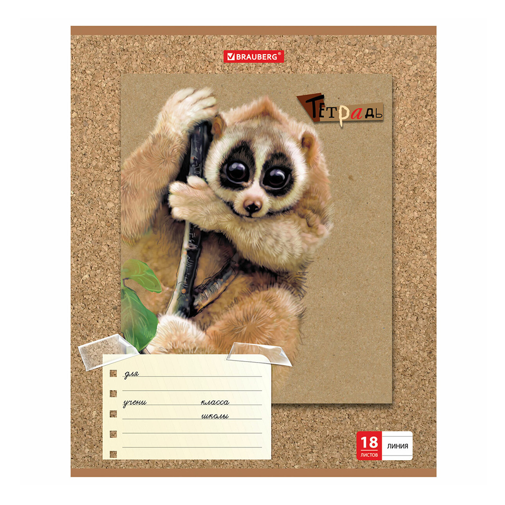 Тетрадь Brauberg 403580 18 листов, линия, Милые зверушки, 1 шт