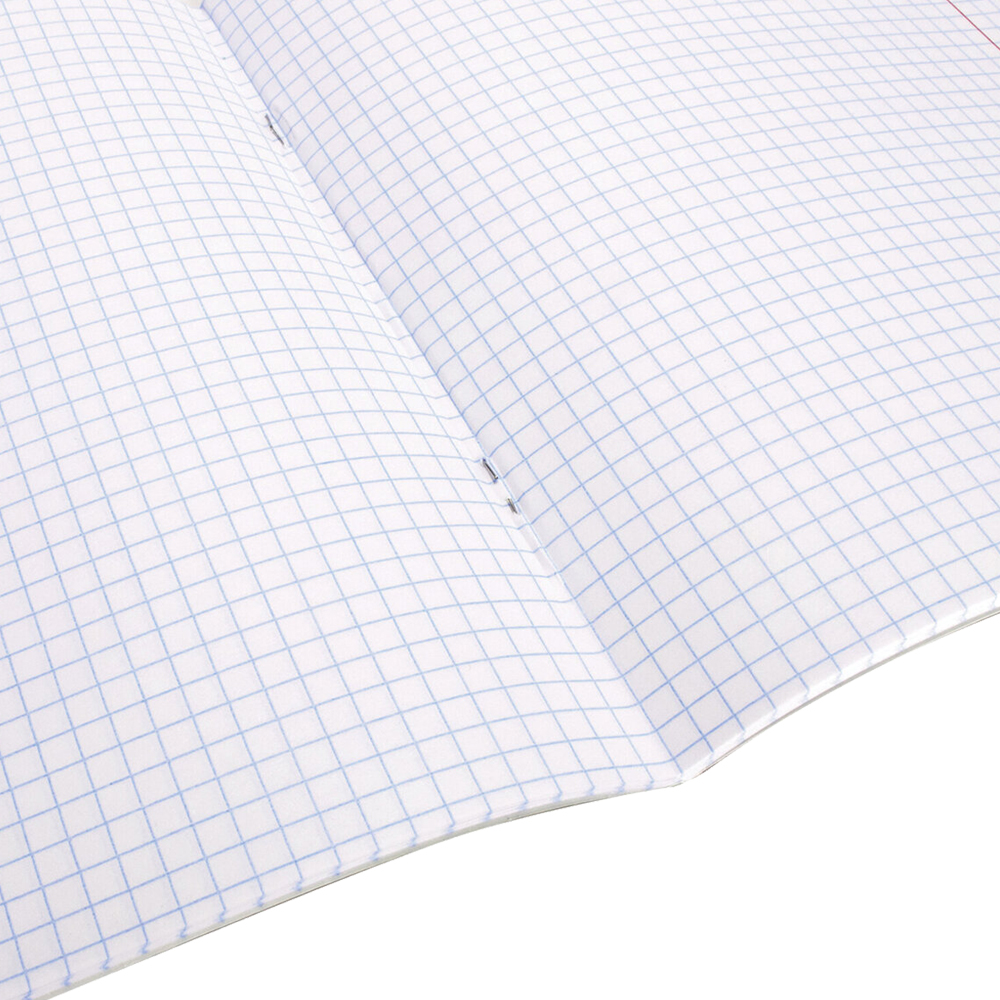 Тетрадь ПЗБМ 106275 18 листов, клетка с полями, зеленая, 1 шт