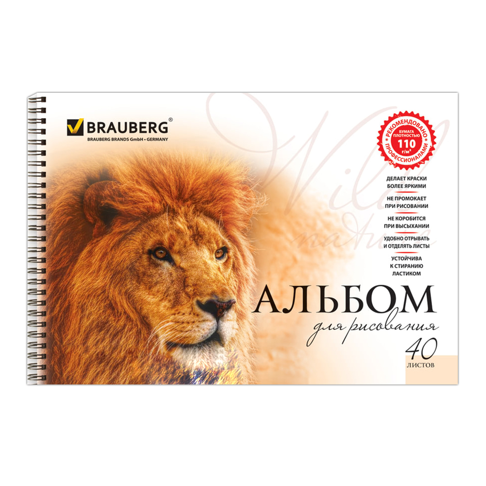 Альбом для рисования Brauberg 102831 А4 Благородные кошки, 2 дизайна, 40 листов