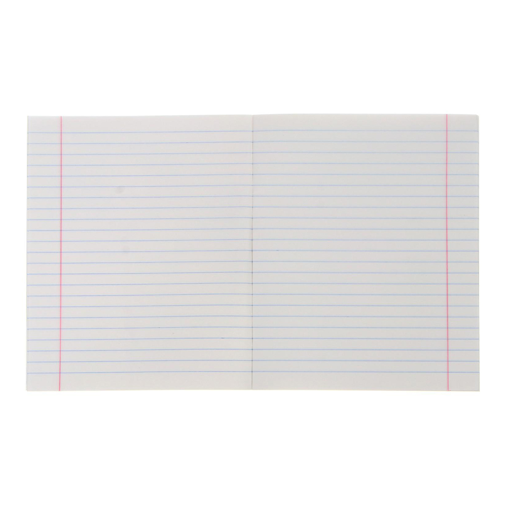 Тетрадь Calligrata 18 листов, линияя, Домашние животные, 5 дизайнов, 1 шт