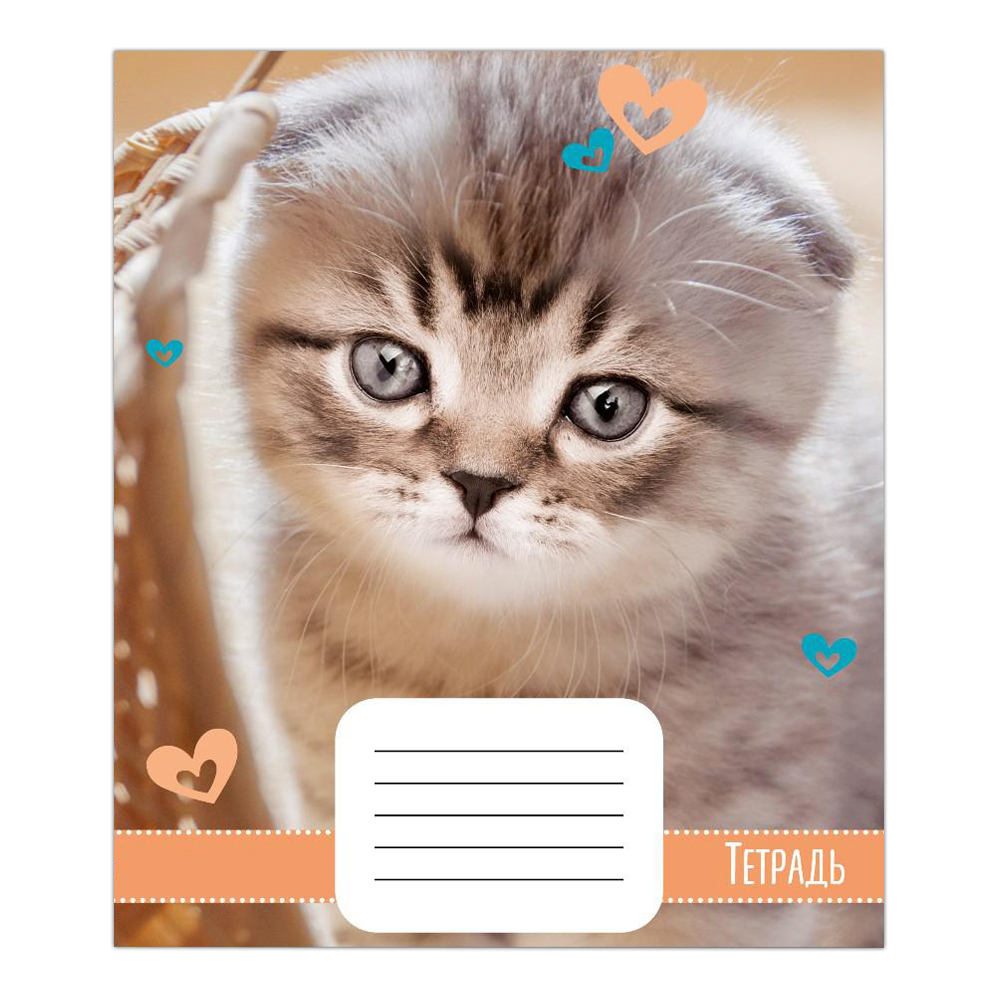 Тетрадь Calligrata 18 листов, линияя, Домашние животные, 5 дизайнов, 1 шт