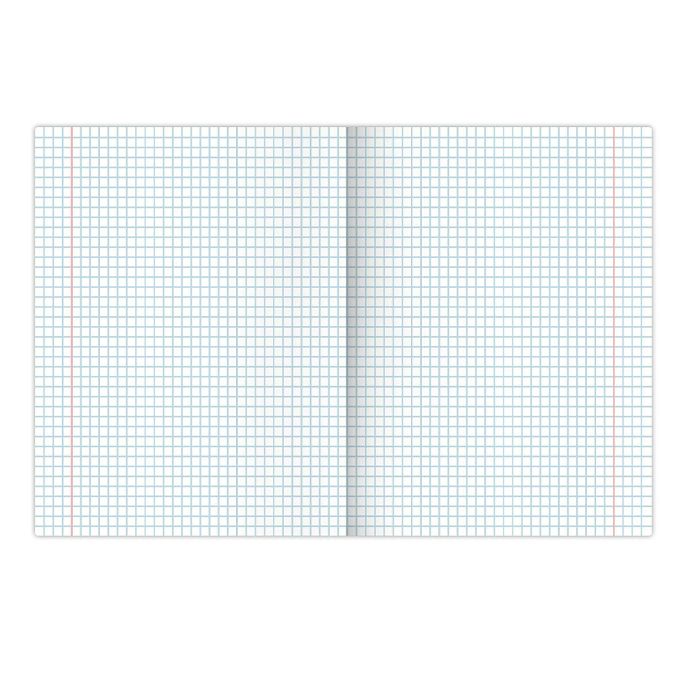 Тетрадь Brauberg 106480 18листов, клетка, Модные животные, 5 дизайнов