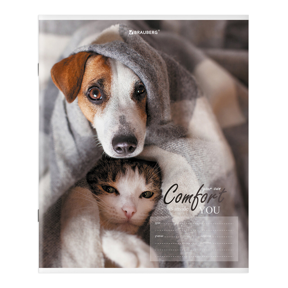 Тетрадь Brauberg 106485 клетка, однотонная, 5 дизайнов, 24 листа