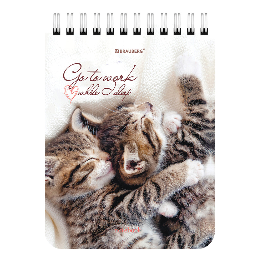 Блокнот Brauberg 114391 А6 гребень Милые котята, клетка, 40 листов