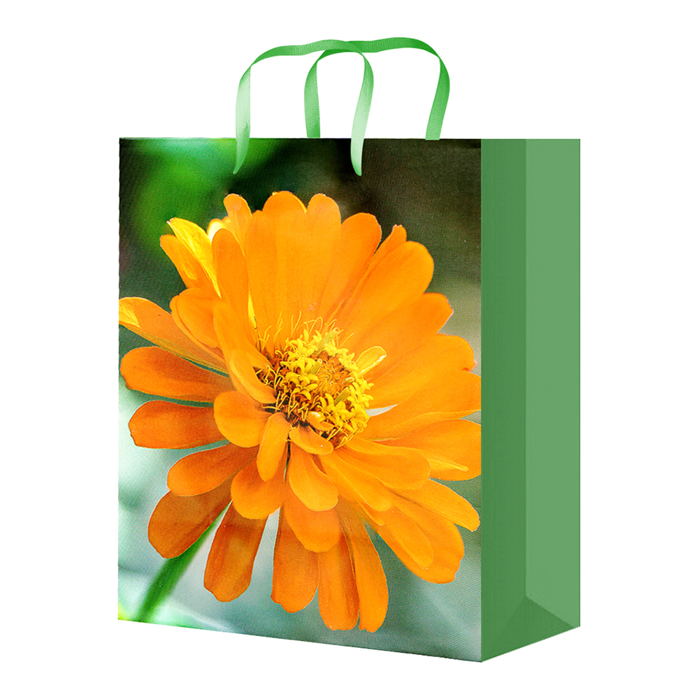 Пакет подарочный S-1156/1157/1158/1159/1160 Цветы 11,1*13,7*6,2, микс