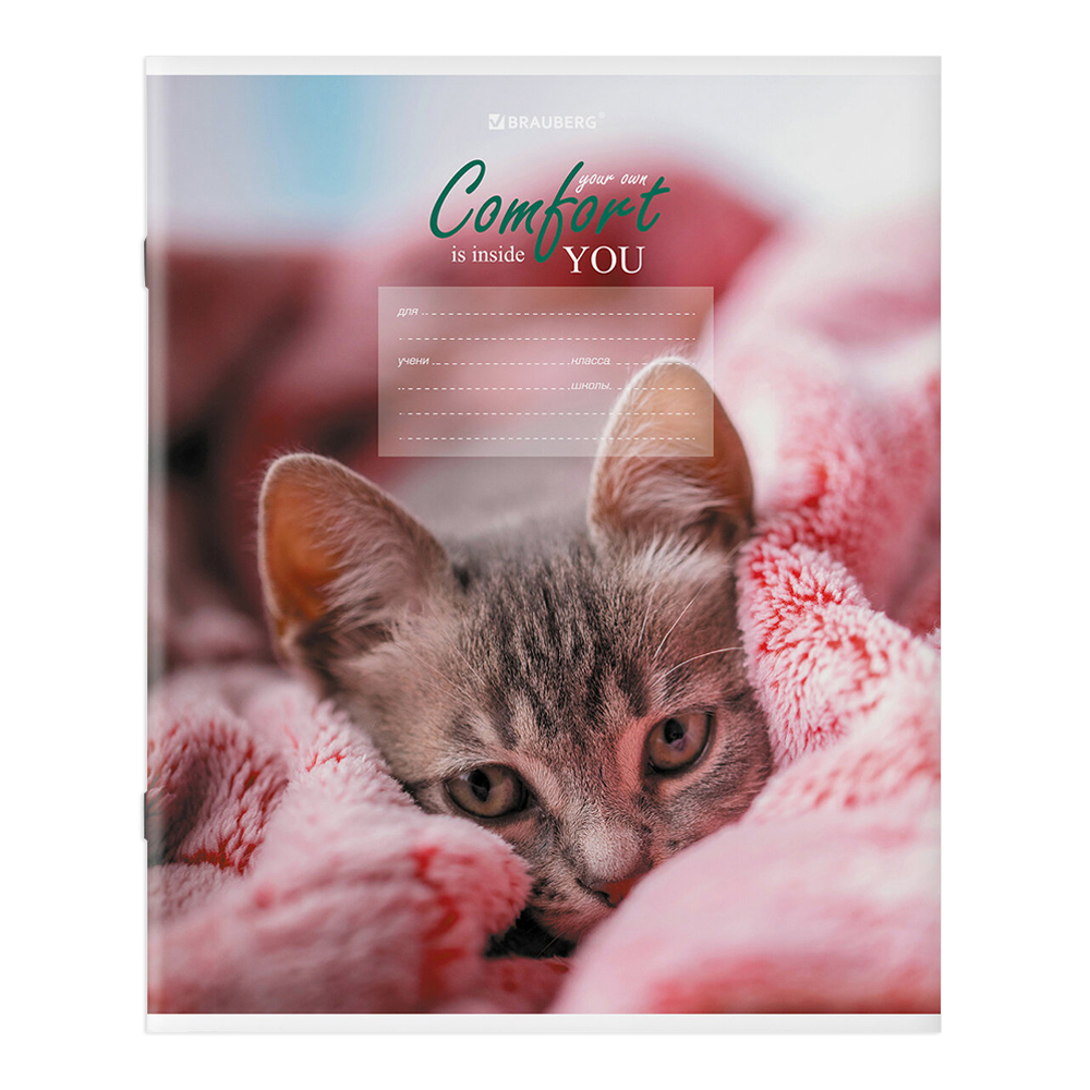 Тетрадь Brauberg 106485 клетка, однотонная, 5 дизайнов, 24 листа