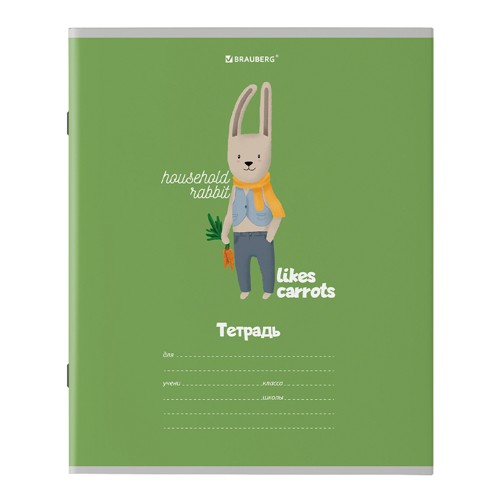 Тетрадь Brauberg 106480 18листов, клетка, Модные животные, 5 дизайнов