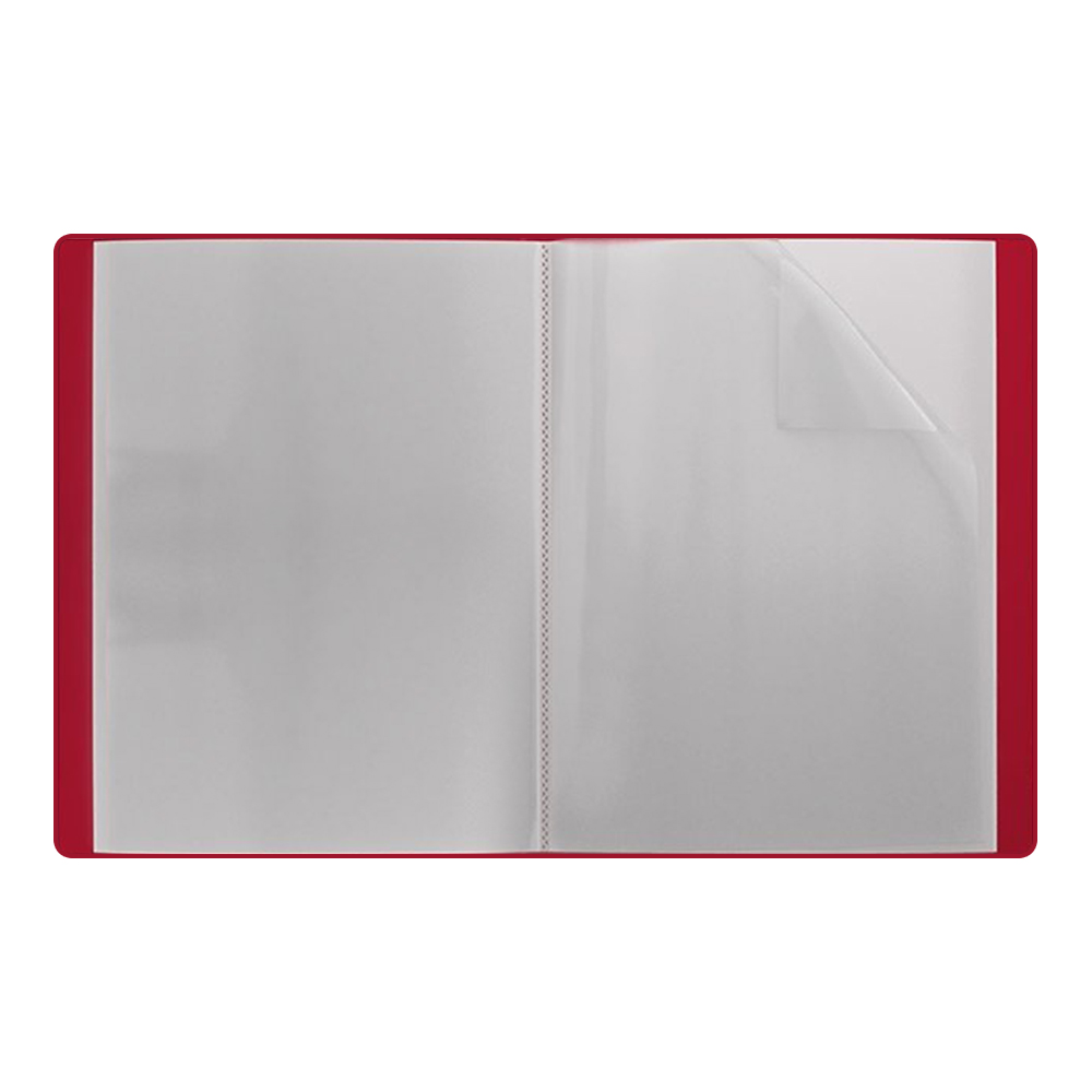 Канцелярская папка Alingar AL6687 А4 60 вкладышей, матовая, цвет:в ассортименте