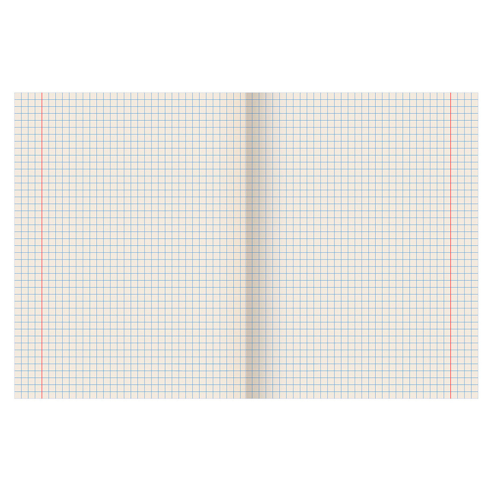 Тетрадь Пифагор 104986 18 листов, клетка, зеленая, 1 шт