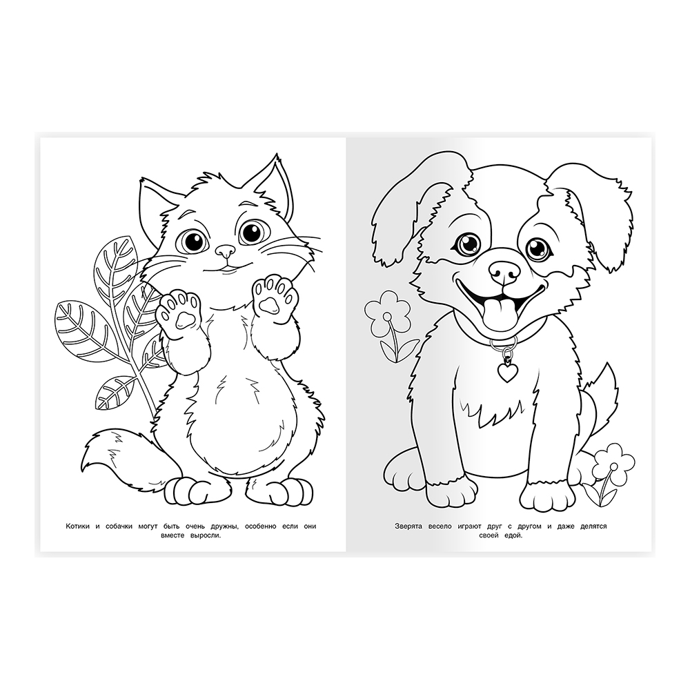 картинка Раскраска 5596 Умка А4 Верные друзья, скрепка 214*290мм, 16 страниц 