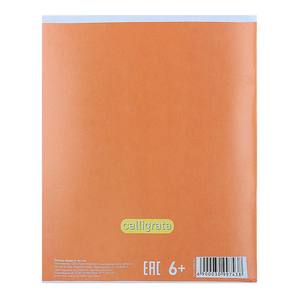 Тетрадь Calligrata 3099743 линия, Город, обложка картон, 4 дизайна, 96 листов