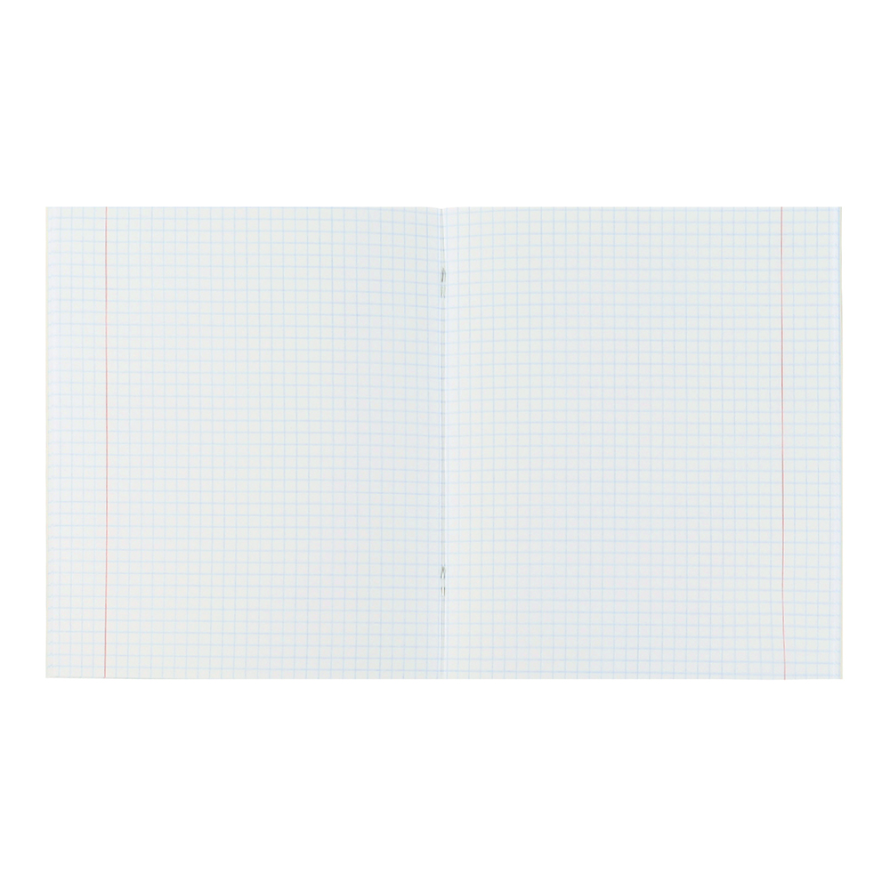 Тетрадь Умка NS-12-83317-NN клетка, Снежные принцессы, 12 листов