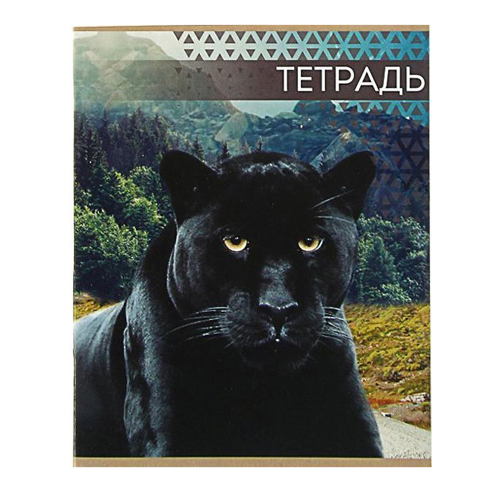 Тетрадь Calligrata 3043786 48 листов, линия, Дикие кошки, цвет:в ассортименте, 4 шт