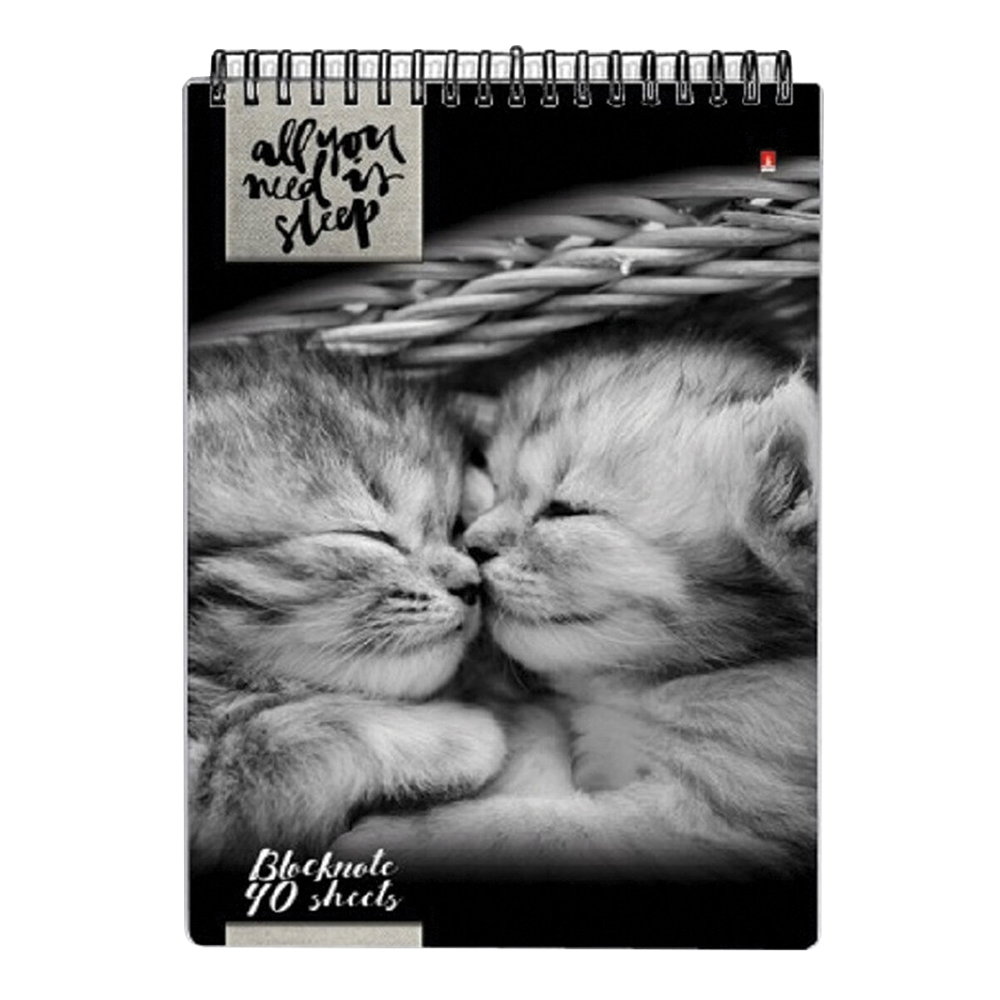 Блокнот Альт 111287 А5 гребень, клетка, Кошки (5 видов), 40 листов